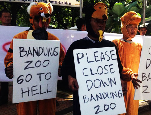 Scorpion: Close Down Bandung Zoo! (July 29, 2016)